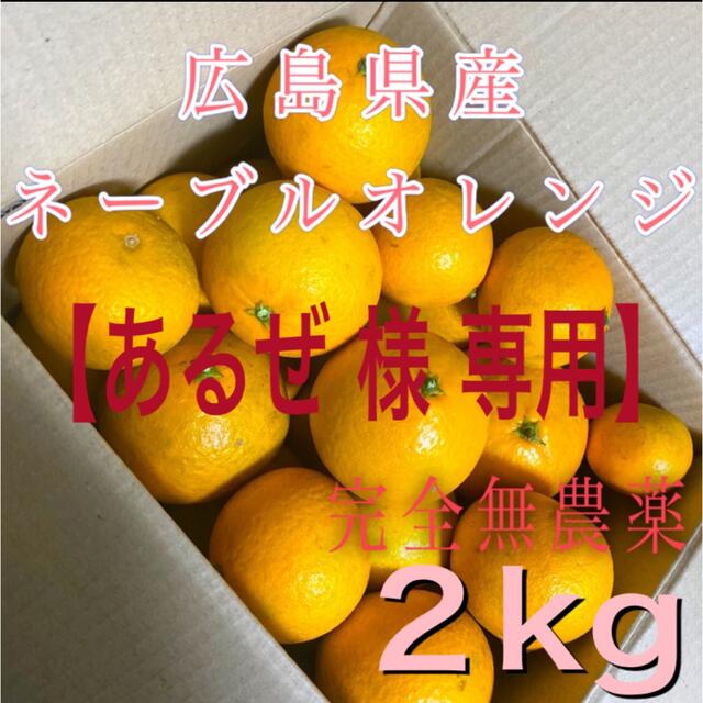 【あるぜ様 専用】完全無農薬 広島県産ネーブルオレンジ 8kg 食品/飲料/酒の食品(フルーツ)の商品写真