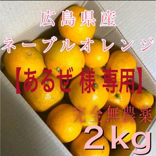 【あるぜ様 専用】完全無農薬 広島県産ネーブルオレンジ 8kg(フルーツ)