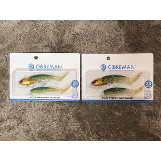 【新品未使用】コアマン　ワームVJ-28 バイブレーションジグヘッド　2個セット(ルアー用品)