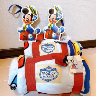バケーションパッケージブランケットのフリマアイテム一覧 バケーションパッケージブランケットのフリマアイテム一覧