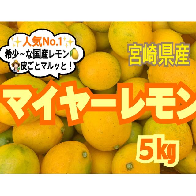 【売り切れ御免❣️】マイヤーレモン5㎏/レモン　国産レモン　みかん　きんかん　 食品/飲料/酒の食品(フルーツ)の商品写真