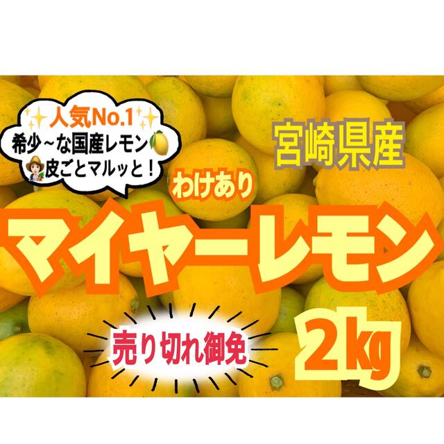 【限定❣️先着5名様限り】訳ありマイヤーレモン2㎏/レモン　国産レモン　みかん　 食品/飲料/酒の食品(フルーツ)の商品写真