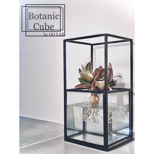 ★Botanic Cube★水耕栽培キット 鉢 プランター アイアン 水槽