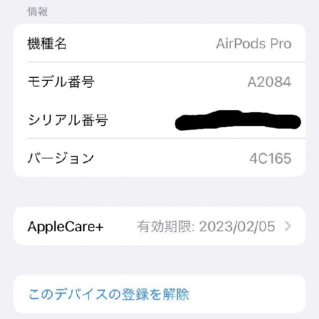 Apple AirPods Pro ケース付き