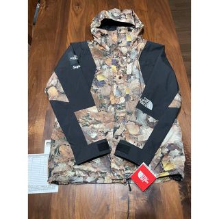 シュプリーム(Supreme)のSupreme The North Face Mountain  kkk様専用(マウンテンパーカー)