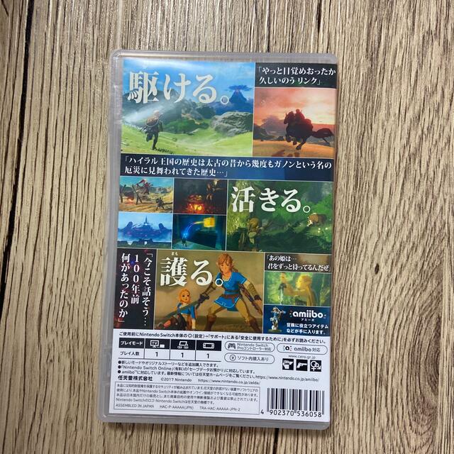 ゼルダの伝説 ブレス オブ ザ ワイルド Switch