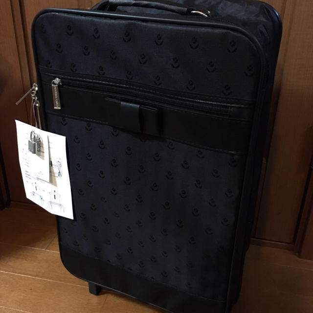 PRIVATE LABEL(プライベートレーベル)の【新品タグ付き】プライベートレーベル 折りたたみ可能 キャリーバッグ レディースのバッグ(スーツケース/キャリーバッグ)の商品写真