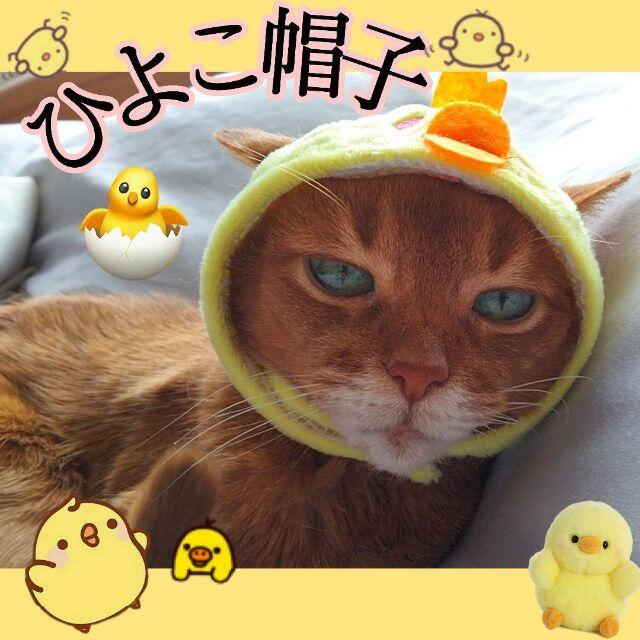 可愛い猫の帽子♡かぶりもの♡ひよこ♡コスプレ♡ その他のペット用品(猫)の商品写真