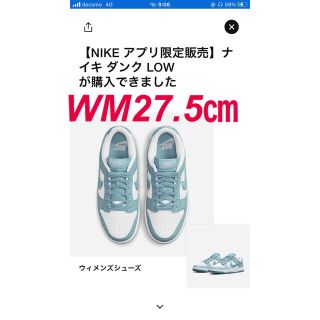 ナイキ(NIKE)のNIKEダンクロー　ペイズリー　WM27.5㎝ M27.0㎝(スニーカー)