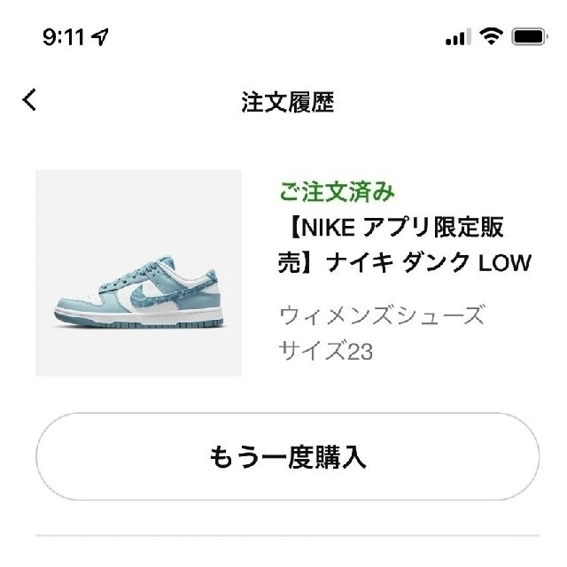 NIKE(ナイキ)のNIKE WMNS DUNK LOW ESS PAISLEY PACK 23 レディースの靴/シューズ(スニーカー)の商品写真