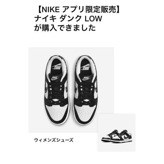 NIKE(ナイキ)のNike WMNS Dunk Low ペイズリー メンズの靴/シューズ(スニーカー)の商品写真