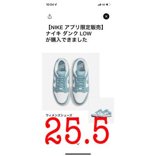 ナイキ(NIKE)のニコ助様専用！2足セット　ブルー・ブラック　ナイキ ダンク low (スニーカー)