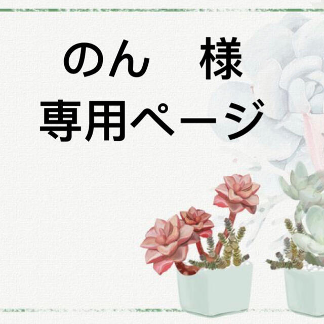 のん様専用ページ♡クーポン待ち中-