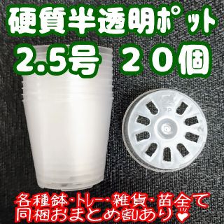 硬質半透明ポリポット 2.5号 7.5cm 20個 プラ鉢 多肉植物 プレステラ(プランター)