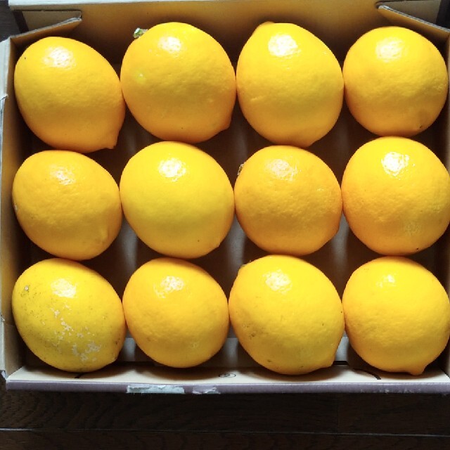 島根県産　無農薬レモン　12個　約1.5kg 食品/飲料/酒の食品(フルーツ)の商品写真