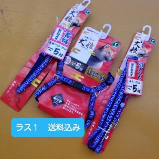 Petio　犬雅　カラー&リード&ハーネス３点セット　唐草模様　SSブルー(犬)