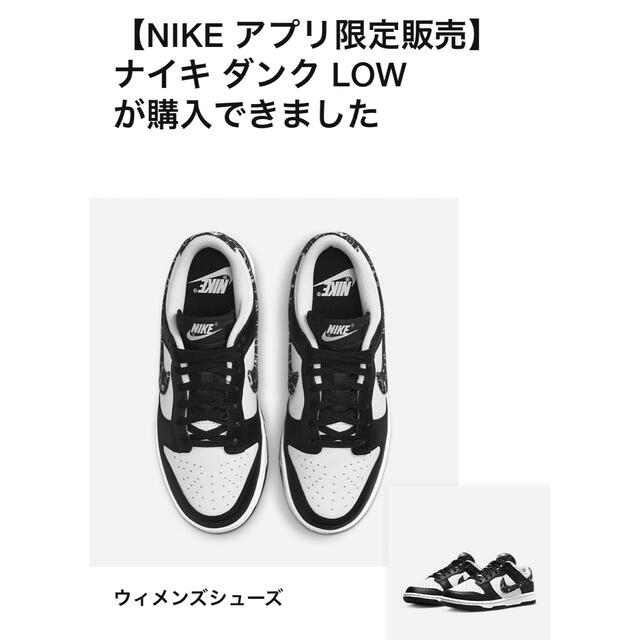 NIKE(ナイキ)のNike WMNS Dunk Low Paisley 24cm レディースの靴/シューズ(スニーカー)の商品写真