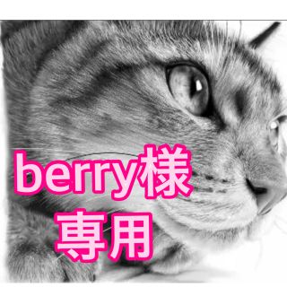 ロイヤルカナン(ROYAL CANIN)のberry様専用　インドア グレービー15個(ペットフード)