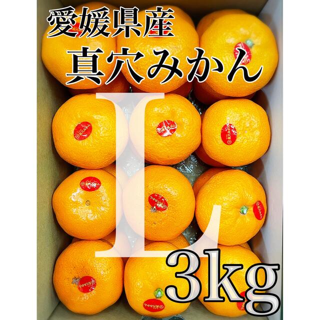 高級ブランドみかん!愛媛県産【真穴みかん】Lサイズ 3kgの通販 高級ブランドみかん!愛媛県産【真穴みかん】Lサイズ 3kgの通販