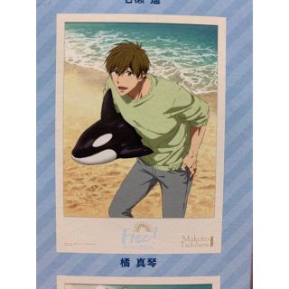 タイトー(TAITO)のFree! ポスター 橘真琴(その他)