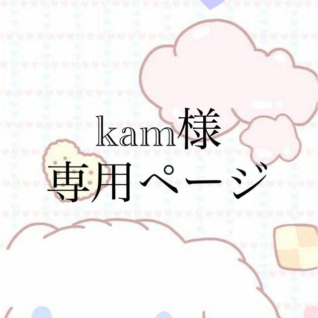 ☆☆☆kamさま専用