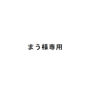 まう様専用(その他)