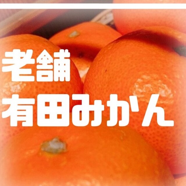 成人の日おめでとうセール　ぷかぷか浮き皮みかん有田ブランドみかん 食品/飲料/酒の食品(フルーツ)の商品写真