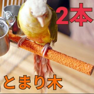 あき様専用とまり木 サンドパーチ 1.5cm×20cm 2本セット 爪とぎパーチ(鳥)