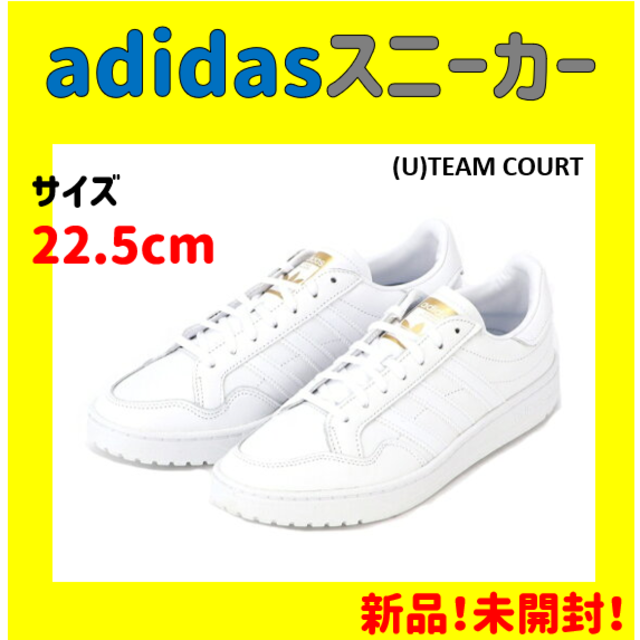 【新品未使用】adidas (U)TEAM COURT 22.5cm
