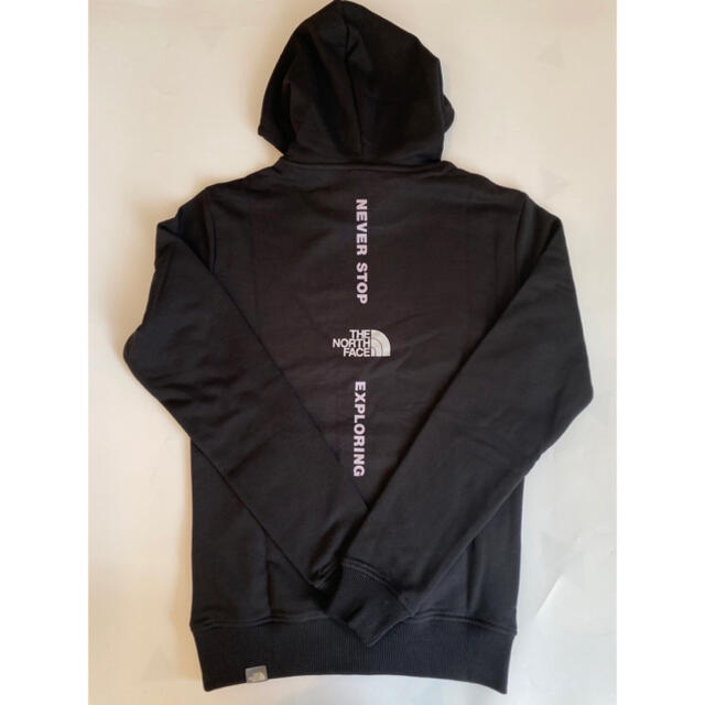 supreme north face metallic hooded Sサイズ