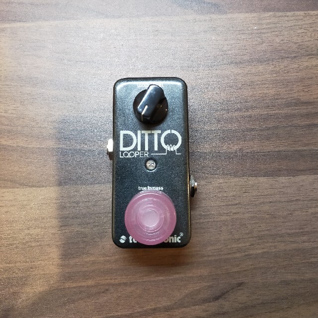 Ditto looper