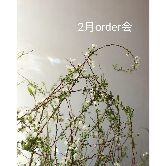 2月order会ドライフラワー