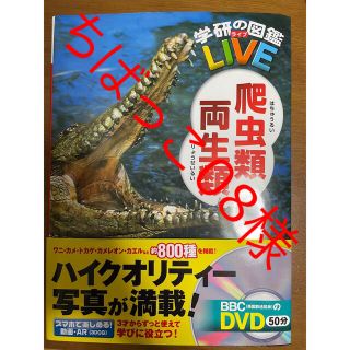 ガッケン(学研)の《新品》学研の図鑑LIVE 爬虫類•両生類(絵本/児童書)