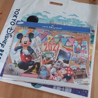 ディズニー(Disney)の東京ディズニーリゾート　２０２２　壁掛けカレンダー(カレンダー/スケジュール)