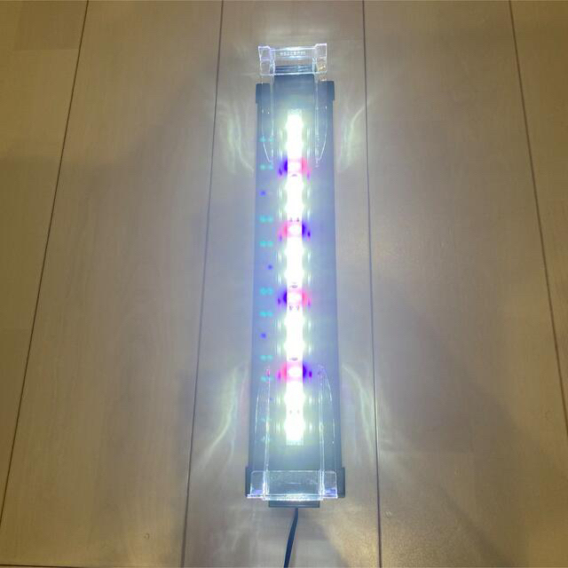 コトブキ　水槽　ライト　LED SS 4052 ブラック　アクアリウム その他のペット用品(アクアリウム)の商品写真