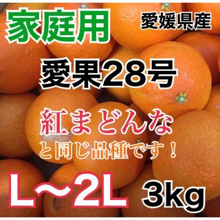 愛媛県産 愛果28号【紅まどんな同品種】L〜2L 約3kg (フルーツ)