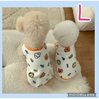 内祝い 犬服s うさちゃんベスト 部屋着 可愛い 着る毛布 かいまき フリース 防寒 犬用品 Dluisparrilladadr Com