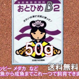 B2【送料無料】おとひめ B-2 　50g　メダカ　グッピー　カラシンに最適！(アクアリウム)