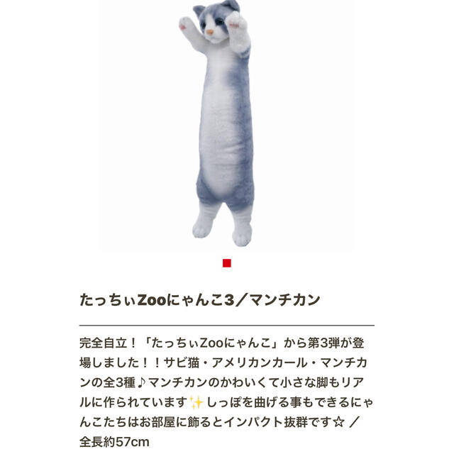 たっちぃZooにゃんこ3 ぬいぐるみ 3匹セット