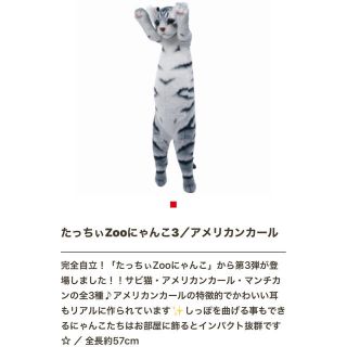 たっちぃZooにゃんこ3 ぬいぐるみ 3匹セット