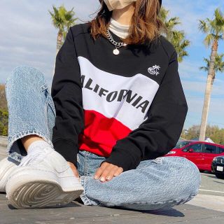 ステューシー(STUSSY)の裏起毛で暖かい☆トリコロールカラースウェット　フリーサイズ　ノースフェイス(トレーナー/スウェット)