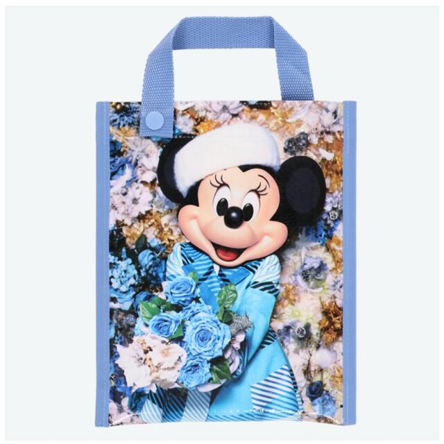 Disney(ディズニー)のpri様専用 ＴＤＲ『蜷川実花 イマジニング・ザ・マジック 秋冬レジャーシート』 エンタメ/ホビーのおもちゃ/ぬいぐるみ(キャラクターグッズ)の商品写真