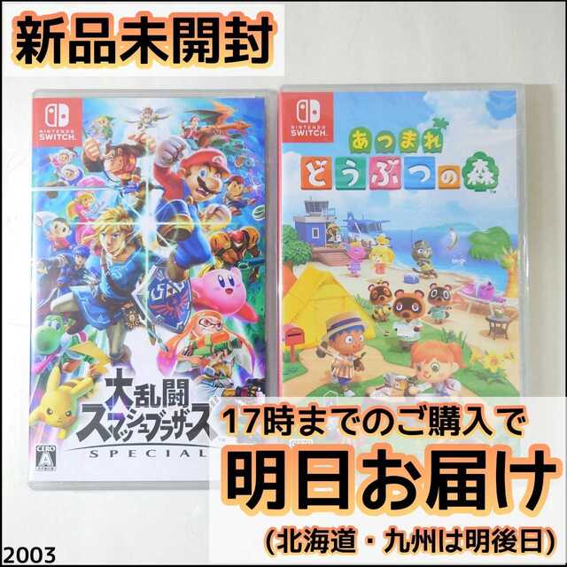 エンタメ/ホビーNintendo Switch ソフト 2本セット