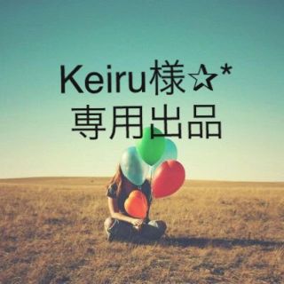 Keiru様♡専用出品(その他)