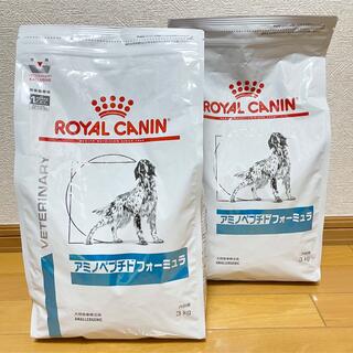 ロイヤルカナン(ROYAL CANIN)のアミノペプチドフォーミュラ♥3kg ×2(ペットフード)