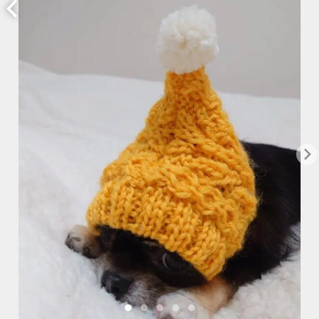 即発送 ■シトラスイエロー 犬用 ニット帽 ■ 帽子 イタグレ ミニピン チワワ その他のペット用品(犬)の商品写真