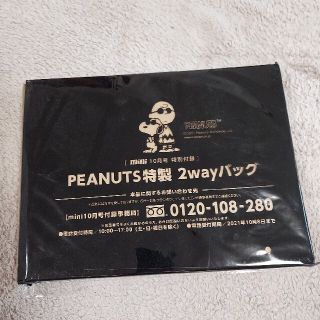 ピーナッツ(PEANUTS)のmini付録　スヌーピー　2wayバッグ(ショルダーバッグ)