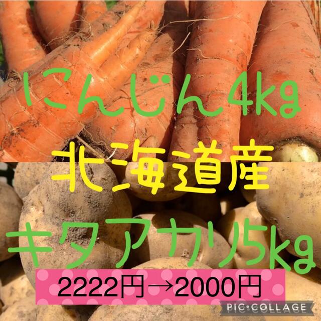 北海道産キタアカリ5kgにんじん4kg 食品/飲料/酒の食品(野菜)の商品写真