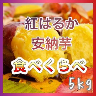 さつまいも食べくらべ5kg 紅はるか×安納芋(野菜)