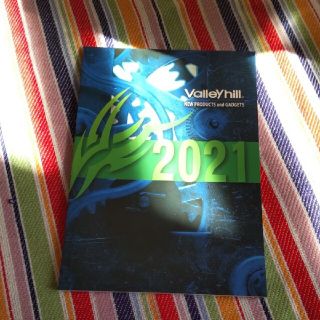 ダイワ(DAIWA)のバレーヒル２０２１年 カタログ(その他)